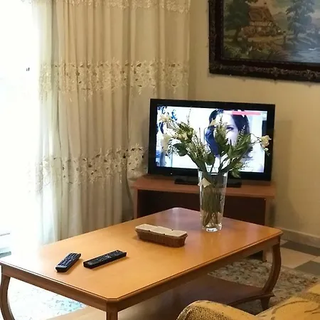 Electra's 公寓 *